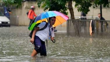 Raigad district authorities declared a holiday for schools in six talukas - Tala, Roha, Pali, Mahad, Poladpur and Mangaon - following the IMD’s red alert. District Collector Kishan Jawale issued the order as a precautionary measure amid intense overnight rains. (File photo) Raigad district authorities declared a holiday for schools in six talukas - Tala, Roha, Pali, Mahad, Poladpur and Mangaon - following the IMD’s red alert. District Collector Kishan Jawale issued the order as a precautionary measure amid intense overnight rains. (File photo)