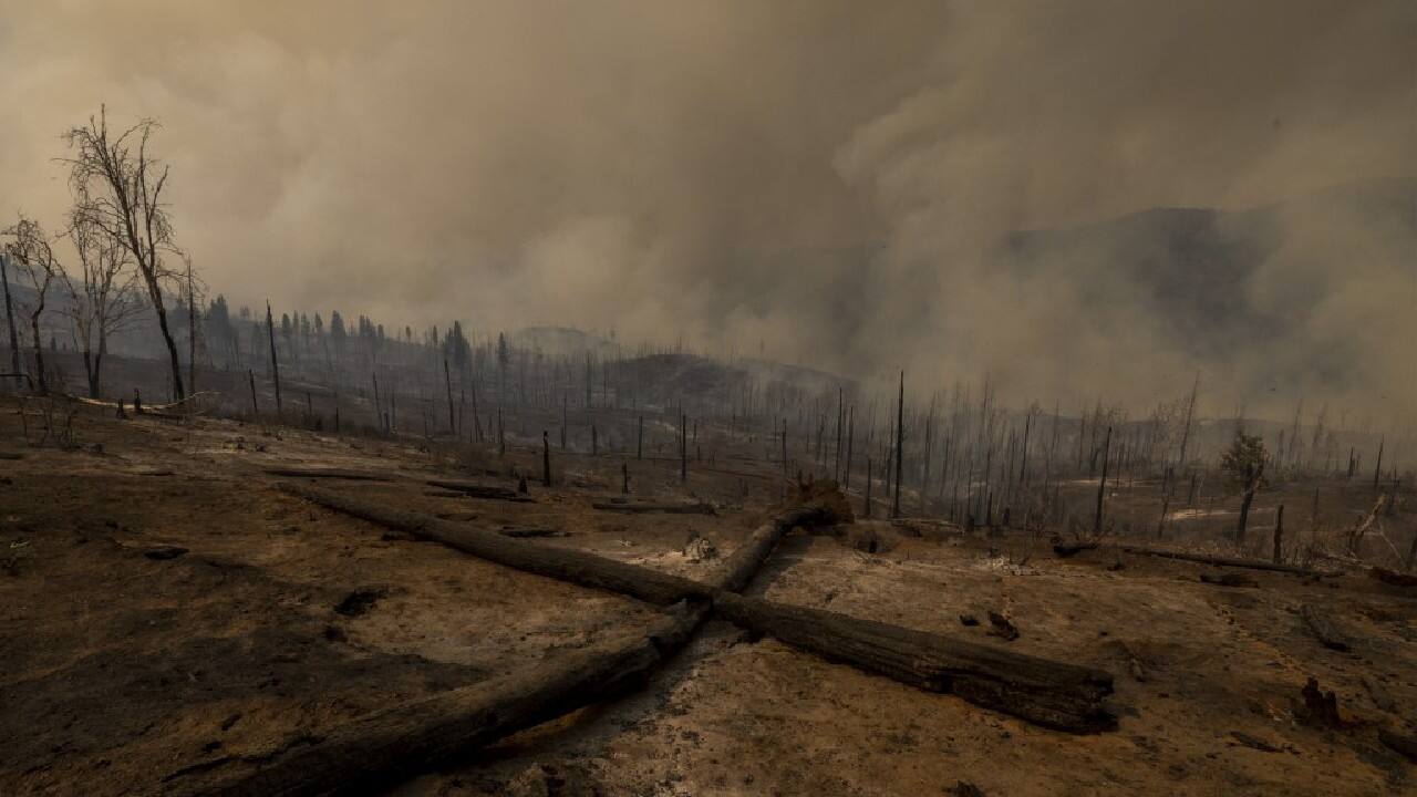 In Pics | Thousands Evacuated As 'explosive' California Wildfire Grows