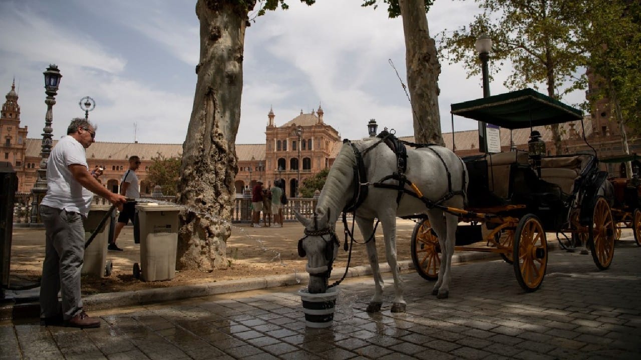 The country's health ministry told people to drink plenty of fluids, wear light clothes and stay in the shade or air-conditioned rooms to avoid their &quot;vital functions&quot; being affected. The highest temperature on July 13 was recorded in the Andalusian city of Almonte, where the mercury hit 45.6 degrees Celsius at 5:30 pm (1530 GMT). Several other southern cities such as Seville and Cordoba experienced temperatures above 44 degrees. (Image: AFP)