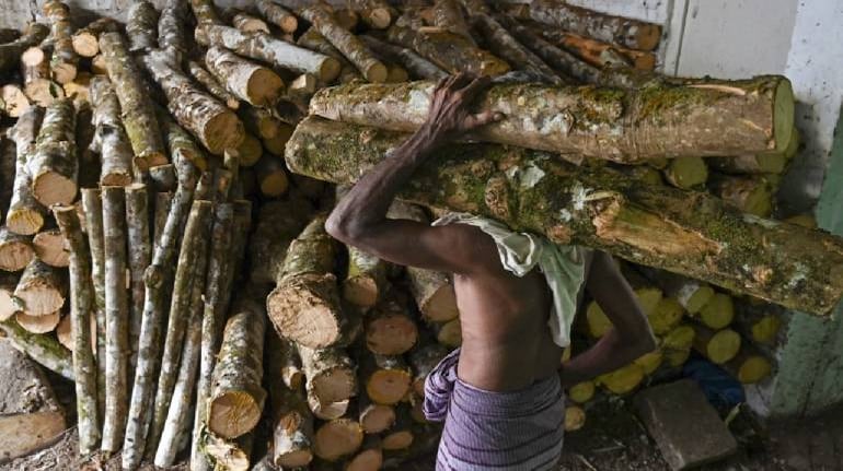 Himachal govt slashes firewood rates to Rs 805 per quintal