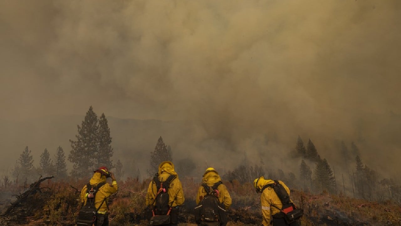 More than 2,000 firefighters backed by 17 helicopters have been deployed against the Oak Fire, which broke out on July 22 near Yosemite National Park, the California Department of Forestry and Fire Protection (CAL FIRE) said in a report. (Image: AFP)
