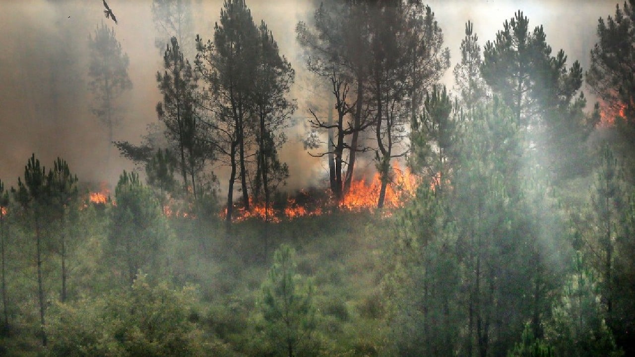 In western Spain near the border with Portugal, forest fires have already razed at least 3,500 hectares (8,600 acres). Between January 1 and July 3, more than 70,300 hectares of forest went up in smoke in Spain, the government said -- almost double the average of the past 10 years. Temperatures in Spain are expected to ease at the end of the week, but the stifling climate could continue in Europe's northwest as it moves towards France and Britain. (Image: AFP)