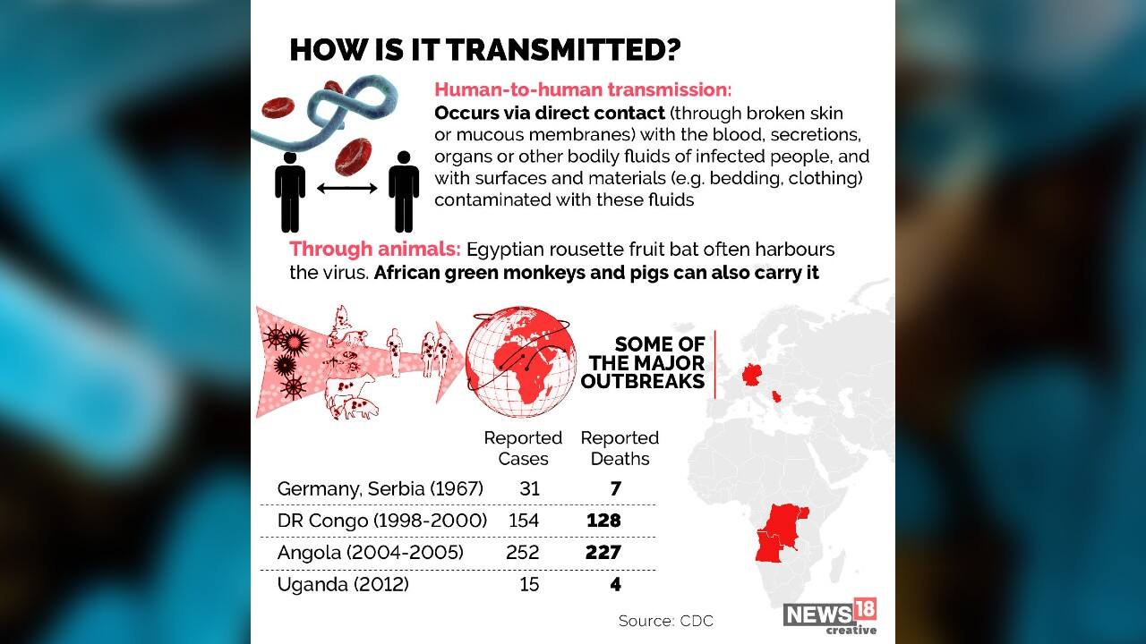 It is transmitted through human-to-human or through animals. (Image: News18 Creative)