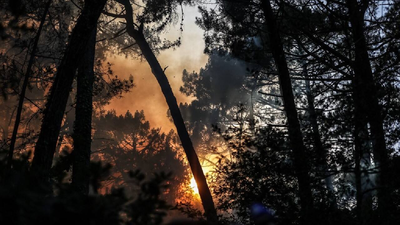 Near the Dune of Pilat -- Europe's tallest sand dune -- another fire consumed about 700 hectares of old pine trees, officials there said, resulting in the evacuation of about 6,000 campers near the dune. (Image: AFP)