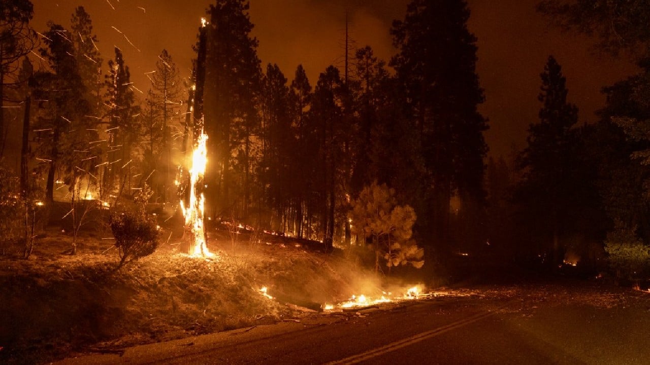 A fierce California wildfire expanded on July 24, burning several thousand acres and forcing evacuations as tens of millions of Americans sweltered through scorching heat. (Image: AFP)