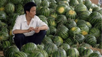 One of the real estate companies in China said it would allow home buyers to pay for their homes using watermelon at a rate of 20 yuan (Rs 236) per kilogram. (Representative image)