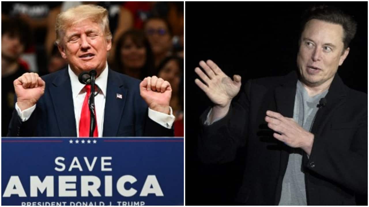 Elon Musk's rejoinder for Trump's 'bullshit artist' comment involves a sunset and old age. Go figure