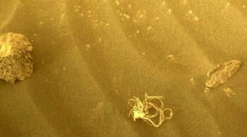 This bundle of debris was first spotted July 12 by the rover's front left hazard avoidance camera -- but when Perseverance returned to the same spot four days later, it was gone.