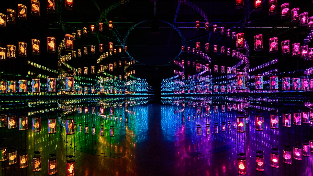 MC Travel Special | Travelling to Dubai? Check out these 5 unique attractions MC Travel Special | Travelling to Dubai? Check out these 5 unique attractions