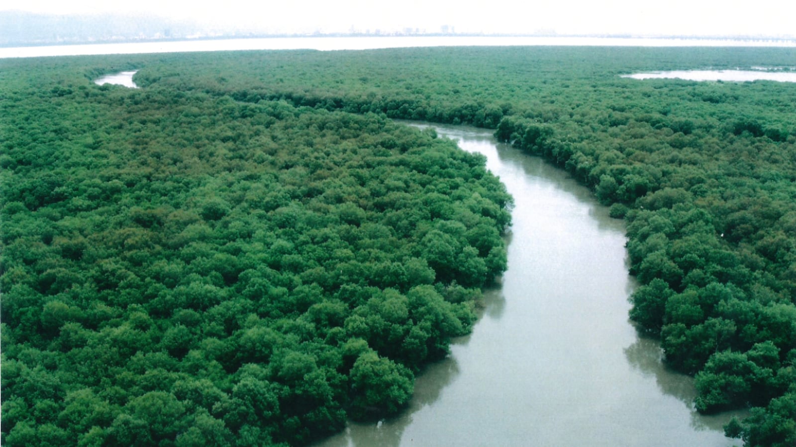 Sundarban Tourism