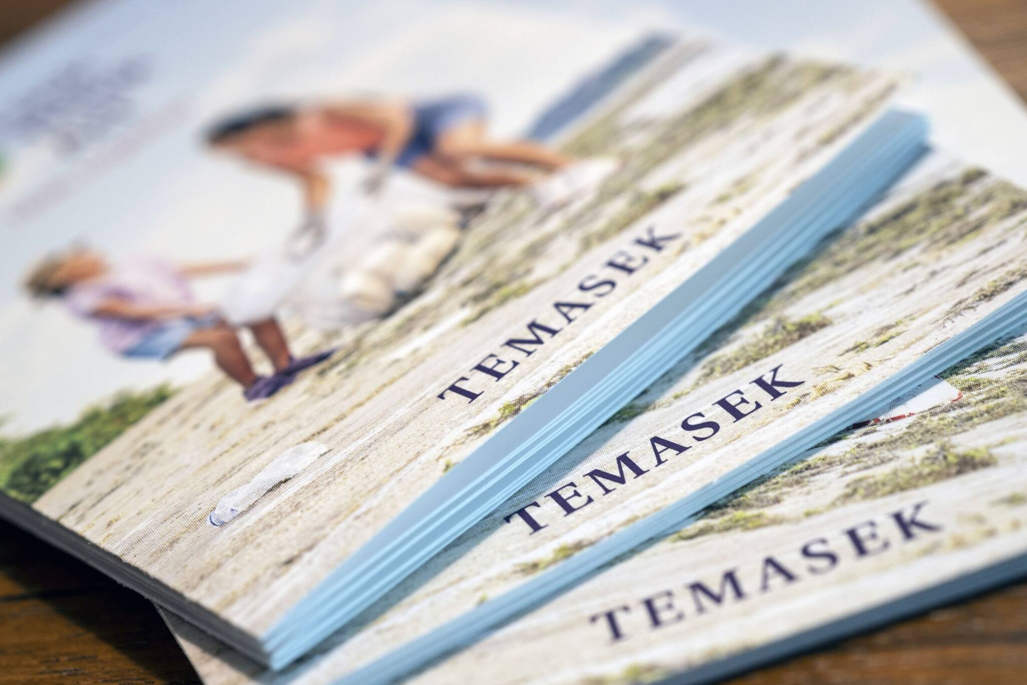 Temasek Turns Cautious on Outlook, Sees More Market Declines