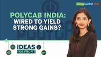 Polycab India has traded sideways for last 12 months: Should you buy at current price?