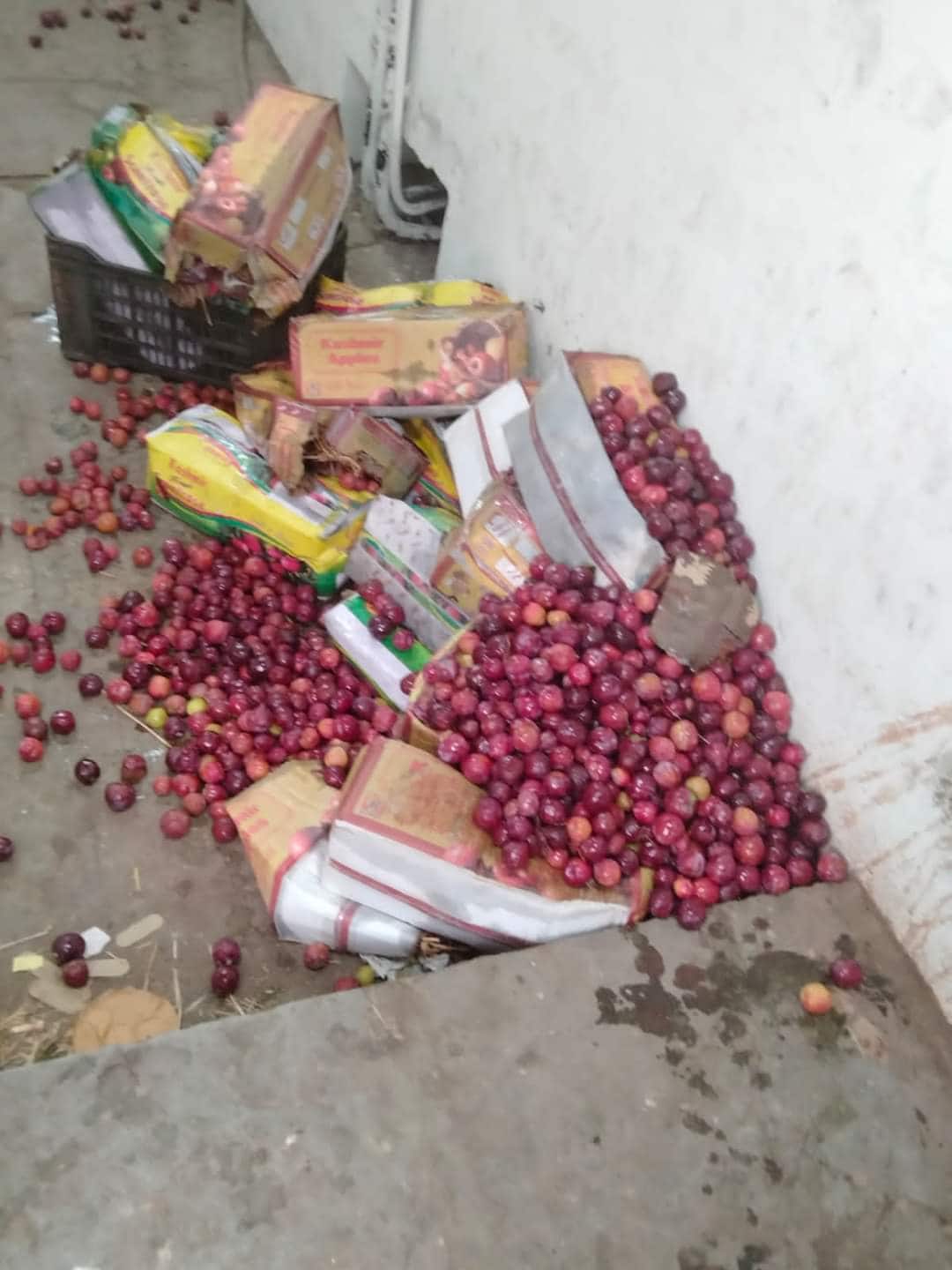 The growers posted pictures of rotten fruits on social media. 