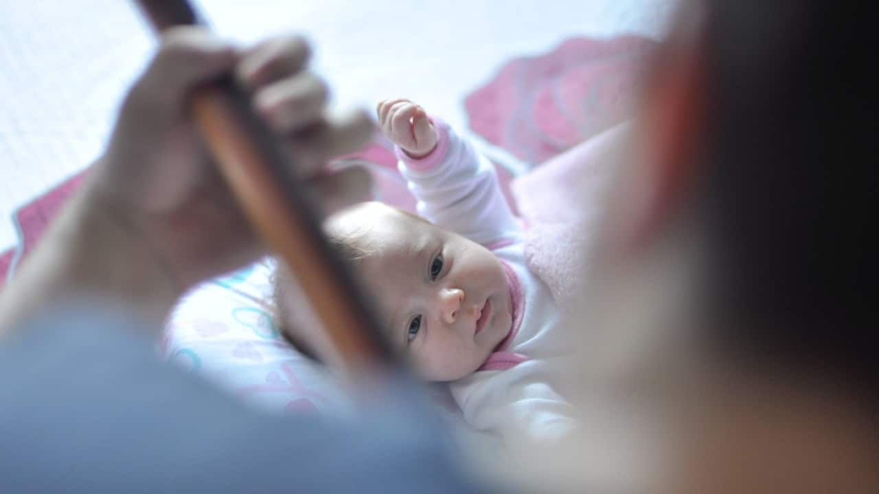 My Family and Other Globalizers | Let there be music My Family and Other Globalizers | Let there be music