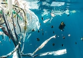 A small step on the long road to banning plastic