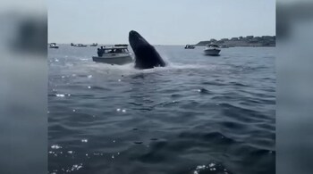 (Image credit: Screengrab from video posted on Facebook by Leo Enggasser)