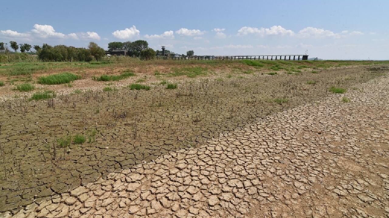 Half of China hit by drought in worst heatwave on record