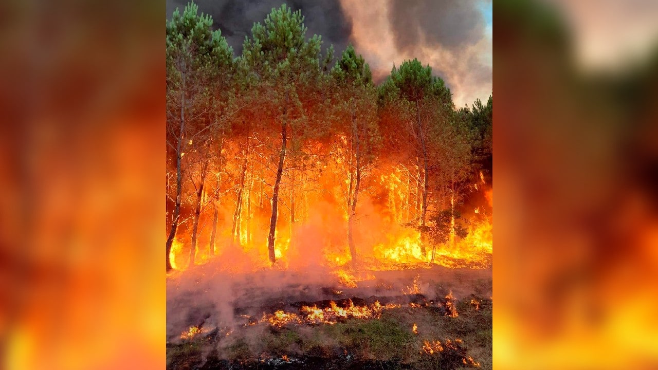 The blaze forced the evacuation of about 8,000 people and destroyed at least sixteen houses. A major highway near the city of Bordeaux was closed on August 10 afternoon due to the fire raging nearby. (Image: SDIS 33 Service Audiovisuel via AP)