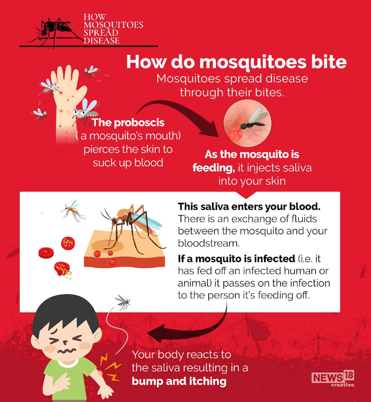 It's World Mosquito Day. Here's a look at how mosquitoes spread disease