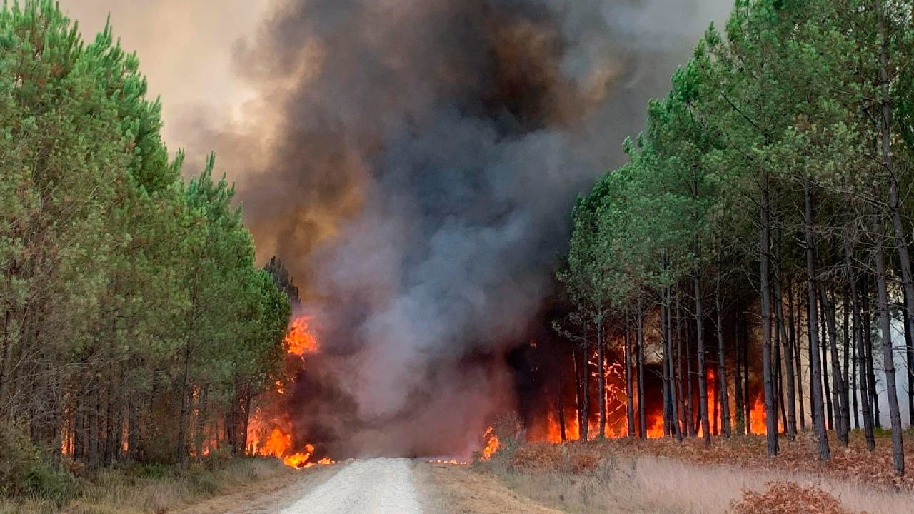 Authorities in Spain´s northern Basque Country region said France has stopped freight trucks from crossing the border at Irun due to the fire. (Image: SDIS 33 Service Audiovisuel via AP)