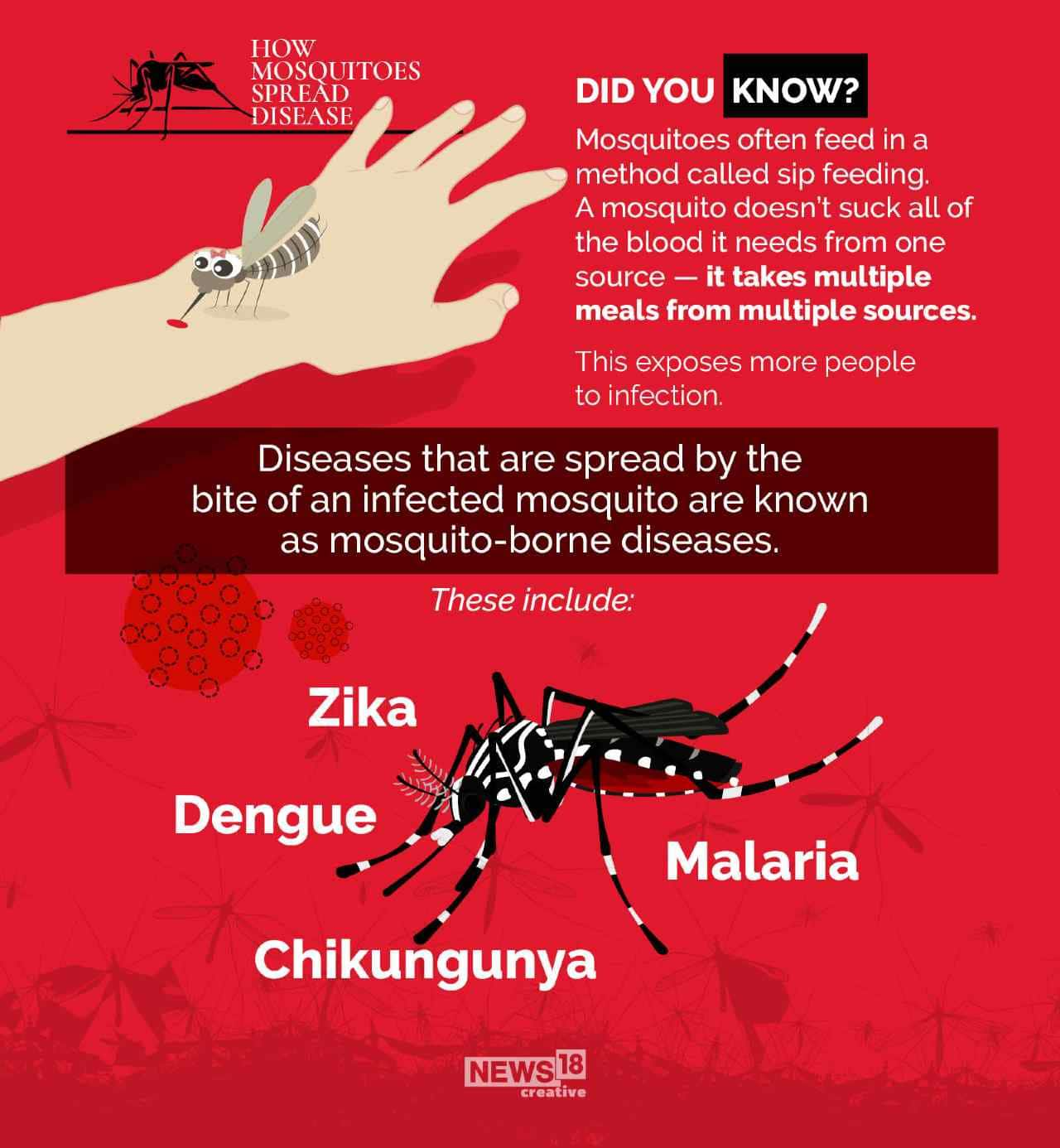 It's World Mosquito Day. Here's A Look At How Mosquitoes Spread Disease