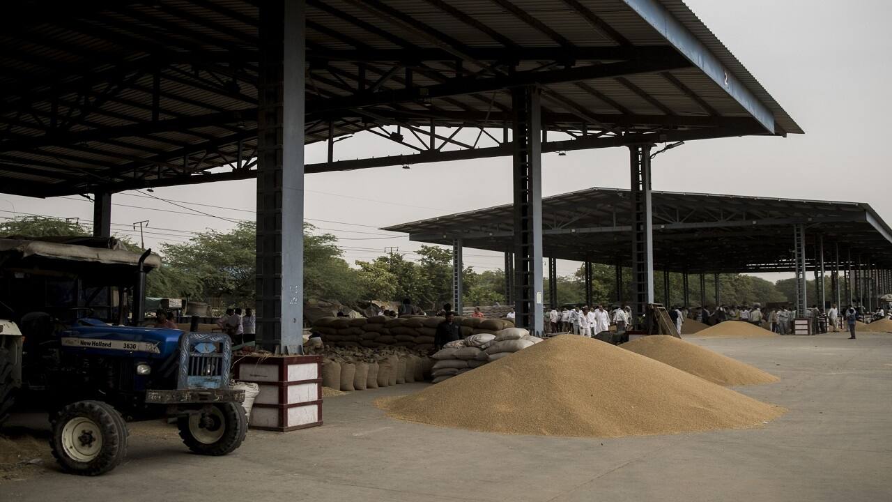 India may import wheat in blow to PM Modi’s vision of feeding world