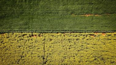 India’s farm policy needs to focus on creating robust commodity supply chains India’s farm policy needs to focus on creating robust commodity supply chains