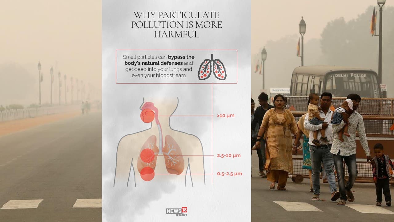 In Pics A Look At How Air Pollution Affects Our Health 8968