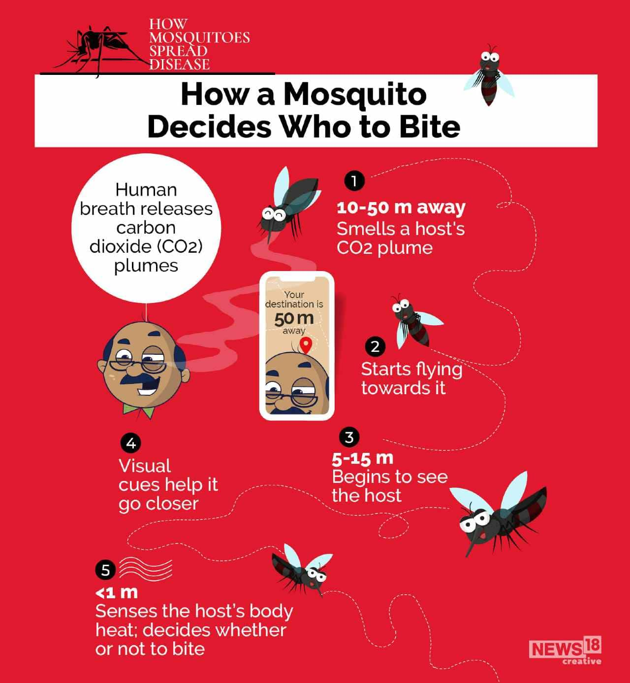 Its World Mosquito Day Heres A Look At How Mosquitoes Spread Disease 7600