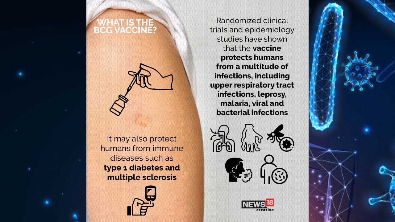 In Pics All You Need To Know About BCG Vaccine Against COVID 19   5 BCG Vaccine 