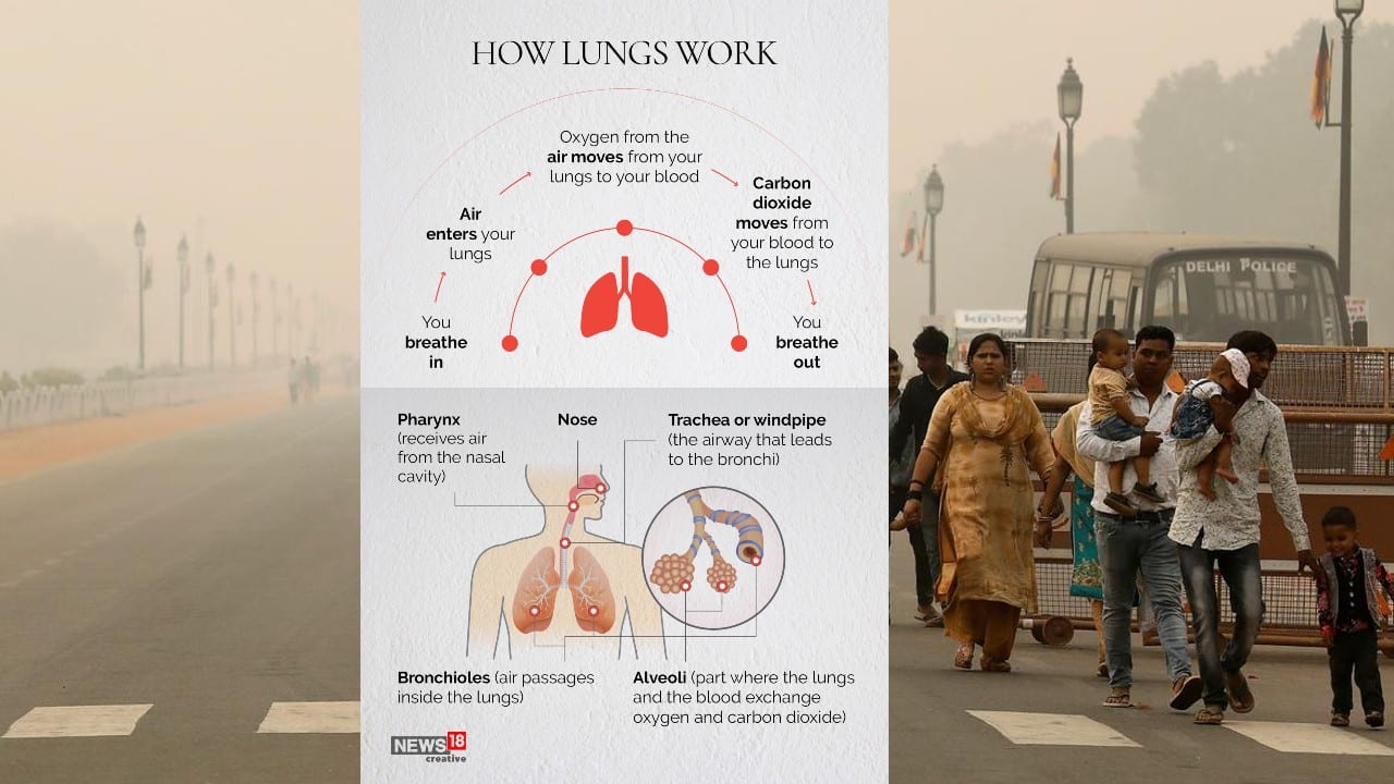 In Pics | A Look At How Air Pollution Affects Our Health