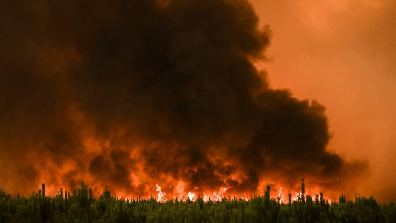 French Interior Minister Gerald Darmanin announced that more firefighters have been sent to the site in an effort to contain the fire. In total, more than 1,000 firefighters, nine aircraft and two helicopters have been mobilized, he said. (Image: AFP)