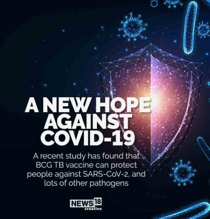 In Pics All You Need To Know About BCG Vaccine For TB That Can   BCG Vaccine12 Size 1 418x435 