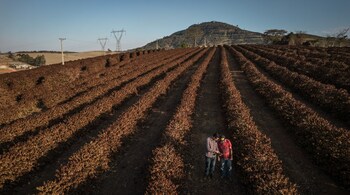 A huge stock of cotton was lying with the farmers.