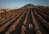 Australia cuts crop production forecasts as risk of El Nino rises