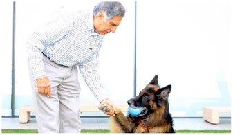 Tito, who was adopted six years ago after Tata’s previous pet of the same name passed away, held a special place in the industrialist’s life.