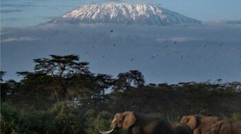 Kilimanjaro is the highest mountain in Africa.