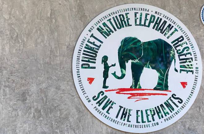 Phuket Nature Elephant Reserve is a safe haven for rescued animals.