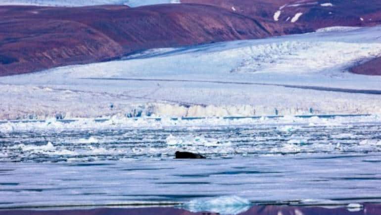 Why Billionaires Like Bezos Gates Are Funding ‘treasure Hunt In Greenland 