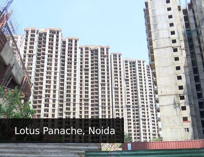 Lotus Panache