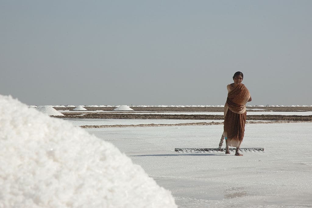 A woman working in the salt pans of the Rann of Kutch, Gujarat. (Photo: Vinod Panicker via Wikimedia Commons 2.5)