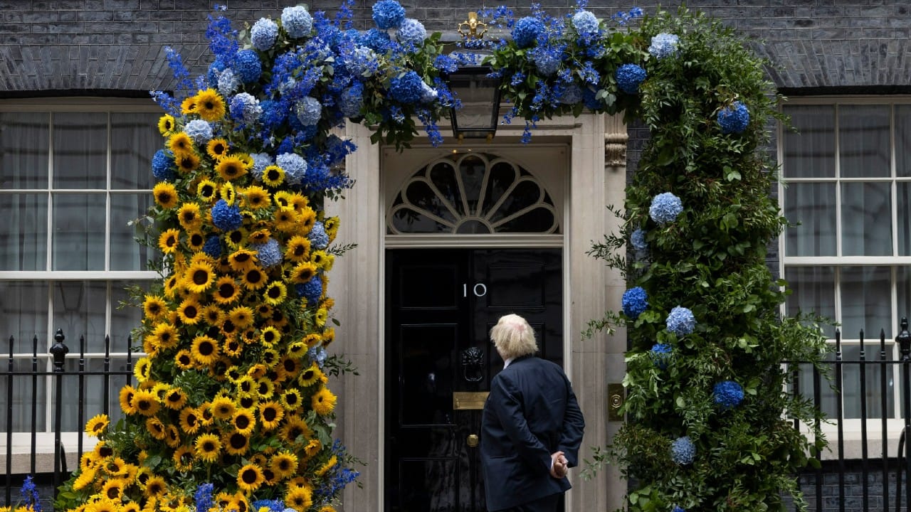 Ukraine Independence Day UK shows solidarity with sunflowers