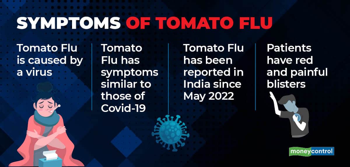 What is Tomato Flu?
