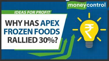Ideas for profit | Apex Frozen Foods: Stock rallies as supply chain bottlenecks ease; Time to buy?