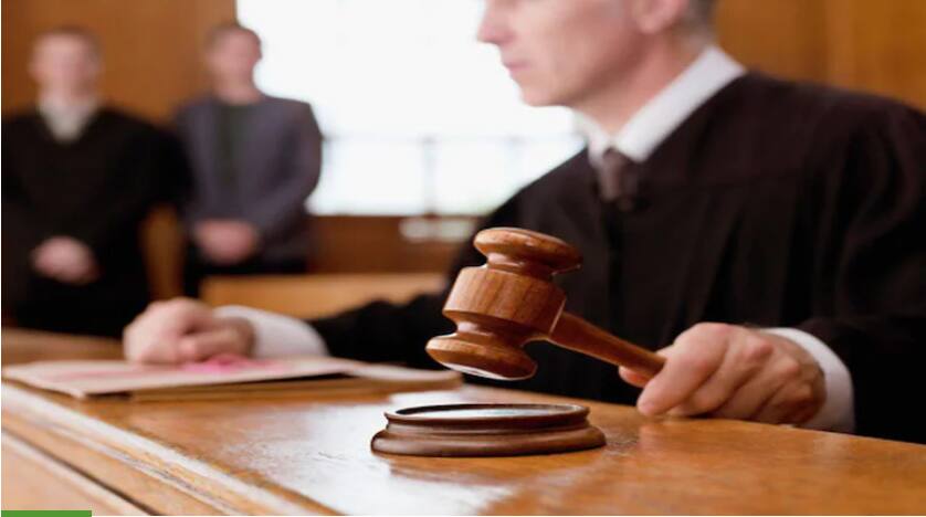 Who is an advocate general? What is their role and why do some states replace them frequently?