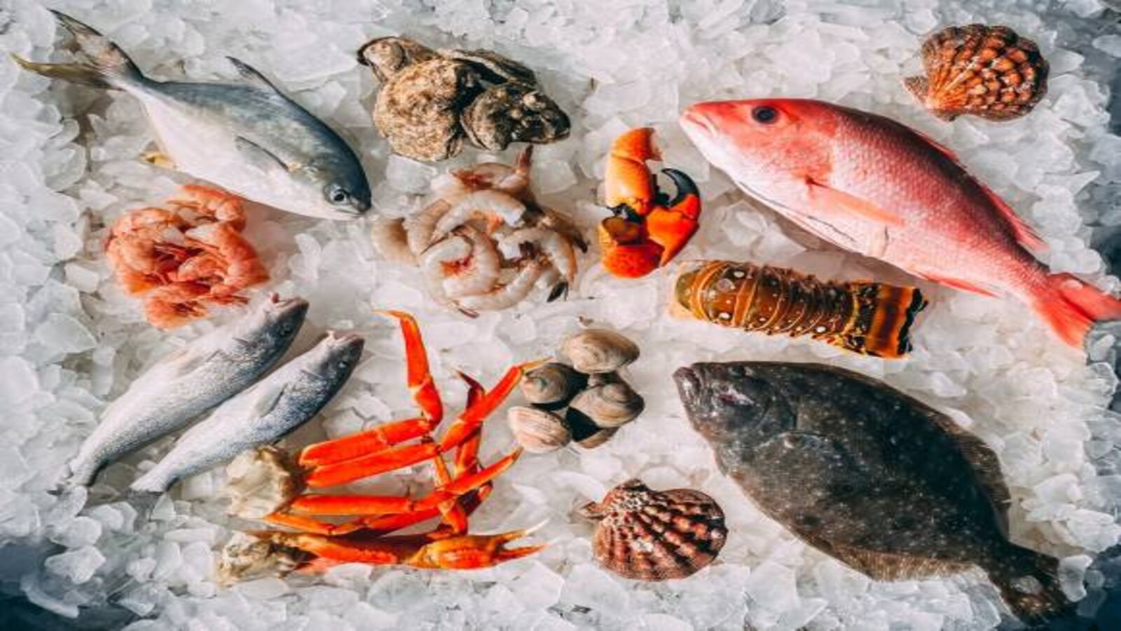 India's seafood exports rise 15p% to USD 1.99 billion in June quarter: Official