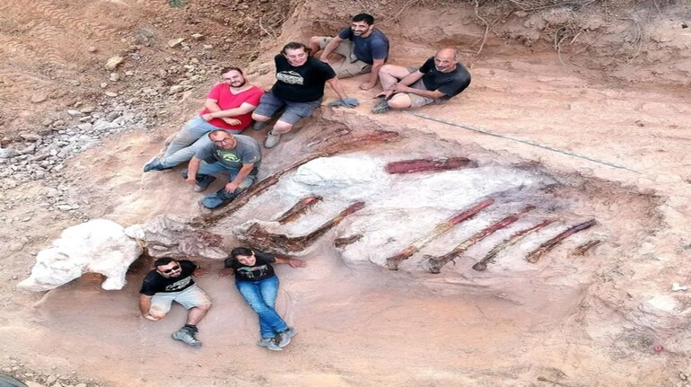 Massive dinosaur skeleton found in Portugal man's backyard