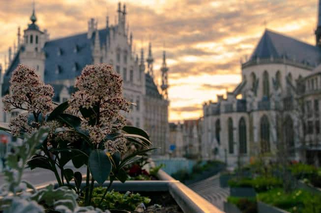 Leuven, Belgium (Image: Thomas Bormans via Unsplash)