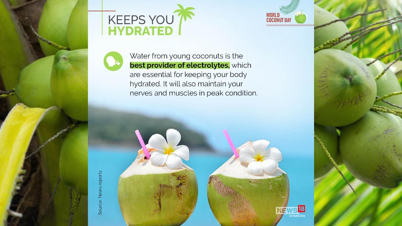 Water from young coconuts is the best provider of electrolytes, which are essential for keeping your body hydrated. (Image: News18 Creative)