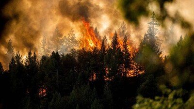 California's Park Fire: Thousands evacuated as man accused of starting blaze charged with arson